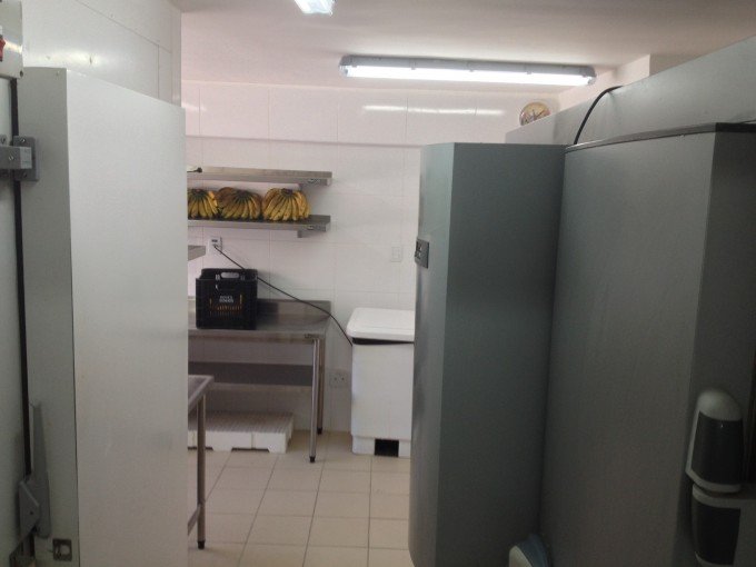 [Higienização - Câmaras Frias]