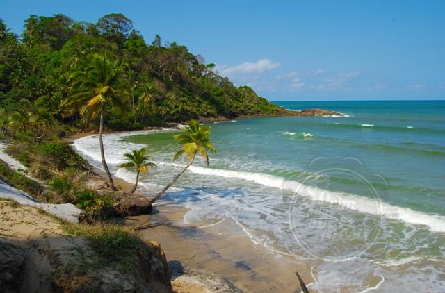 [Foto: Divulgação]