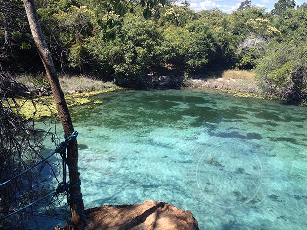 [Banho gelado, mas revigorante]