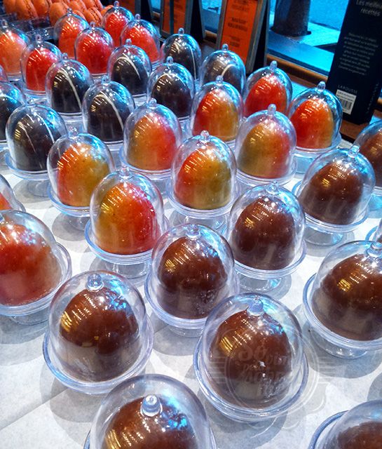 [Um oceano de mademoiselles]