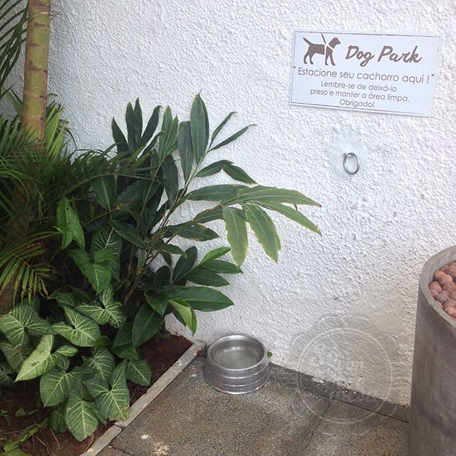 [Park Dog - super vip]